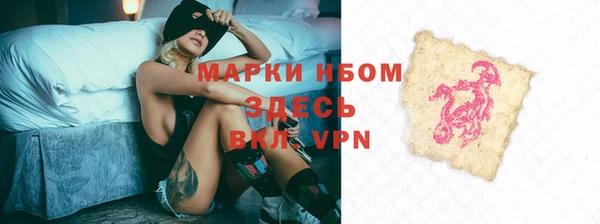 2c-b Ельня