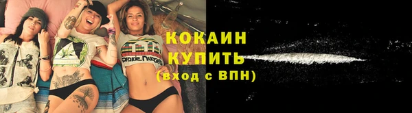 СК Сафоново