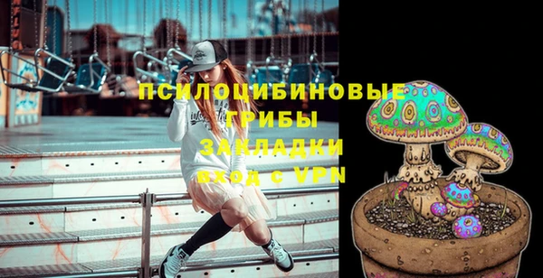 2c-b Ельня