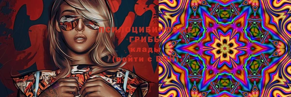 2c-b Ельня