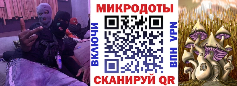 Купить закладки  Сатка  Псилоцибиновые грибы MAGIC MUSHROOMS 