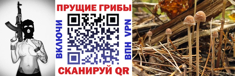Псилоцибиновые грибы мухоморы Сатка